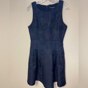 Banana Republic Women,s Dress Size 4 Black/Blue Sleeveless Fit & Flare Pre-owned